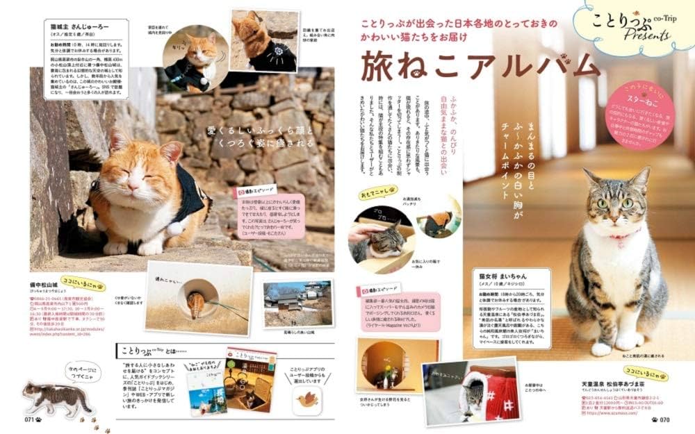 にゃっぷる (昭文社ムック): 9784398294524: Books - Amazon.ca
